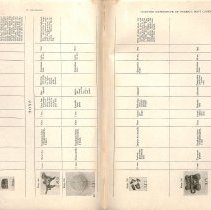 Foreign Bodies in Air and Food Passages, pages 138 and 139