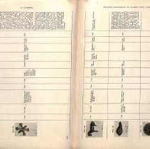 Foreign Bodies in Air and Food Passages, pages 140 and 141