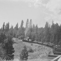 SVRy engine #251 (2-6-6-2 Mallet) near Alder Springs.