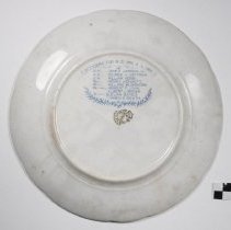 Williamson Lodge no. 369 Plate