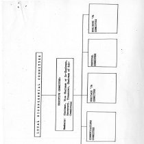 Suggested Organization for a local Bicentennial Comittee