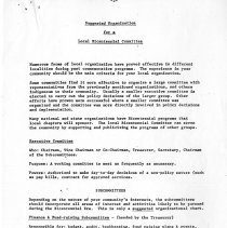 Suggested Organization for a local Bicentennial Comittee