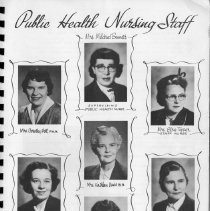 Stickney Township Health District Annual Report: 1957-1958