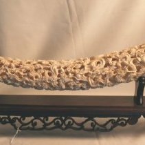 Ivory with stand