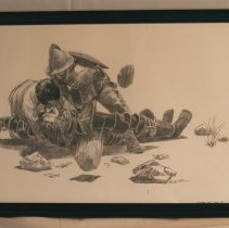 Coronado Saved from Death