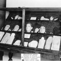 DPS Lab Reproduction Section