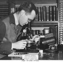 Hair Exam, Chemical Section, TDPS