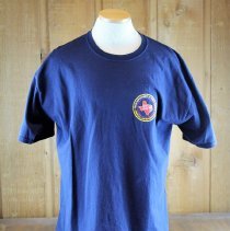 Texas DPS/Criminal Law Enforcement/Motor Vehicle Theft Service