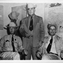 Allee, Bridge and Wier, 1954