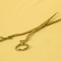 Tenaculum Forceps