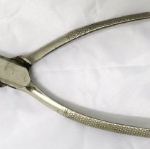 Dental Forceps