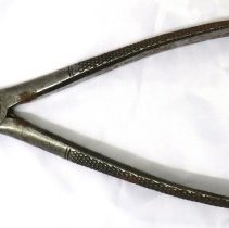 Dental Forceps