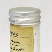 Medicine Vial, Isuprel