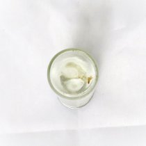 Medicine Vial, Opium, Camphor, Tannin