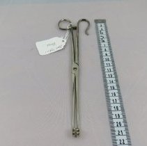 Forceps