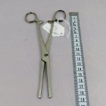 Forceps
