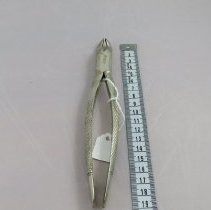 Dental Forceps
