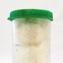 Medicine Bottle, Chlor-Tripolon Vials