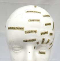Phrenology Model
