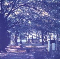 Sidewalk on First Street Looking South