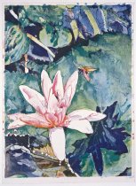 Pink Lily with Dragonfly - Joseph Raffael