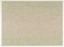 Who Am We? - Do-Ho Suh