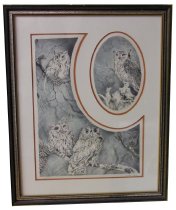 Great Horned and Screech Owls-Polly Chase