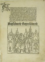 Cronecken der Sassen plate 30