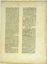 Rudimentum Novitiorum