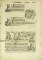 Nuremberg Chronicle: Quinta Esta Mundi: Printed Folium LXXVI-Anton Koberger