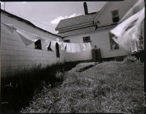 Untitled-Alice V. Sebrell