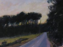 Plowground Road, John's Island-Manning Williams