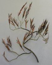 Untitled-Artesian House