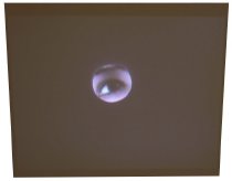 Where's Your Presence-William L. Brown