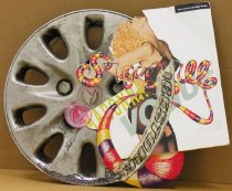 Feminist-Emily Cummings