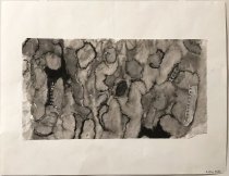 Snake Skin-Aislinn Bevill