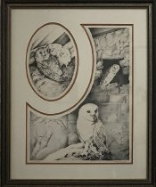 Barn Owls-Polly Chase