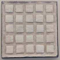 Succulent: Dry as the Sahara-Ethan Brock