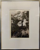 Untitled (Tree with Window)-Jill Boinske