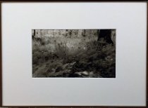 Silver Slipper-Sandra Clark