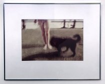 K-9 Dream I-Avery Danziger