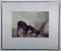 K-9 Dream II-Avery Danziger