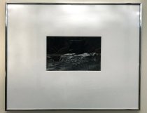 Dinosaur-Timothy Barnwell