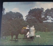 Farm Scene-family with a mare and foal.