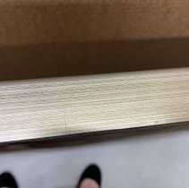 Yvonne Kauger Damage (3)