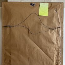 Sylvan N. Goldman Back