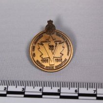 Pin, obverse