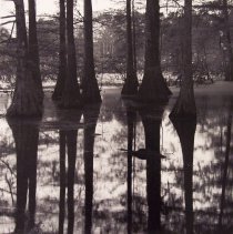 Breathing Cathedral, Edition 9/20