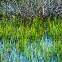 High Tide; Edition 4/10