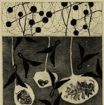 Concealed Deposits, Edition 51/55